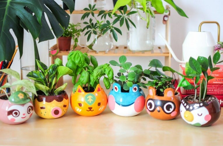 Random: Plant Your Plants In These Animal Crossing Plant Pots