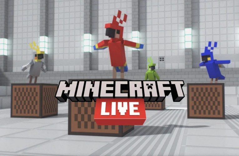 Guardare: Minecraft dal vivo 2021 – Live!