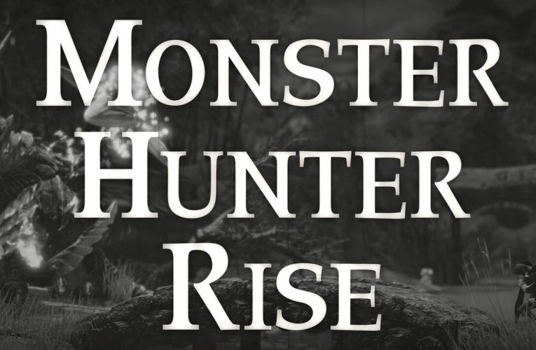 Capcom Is Adding Screen Filters To The PC Version Of Monster Hunter Rise