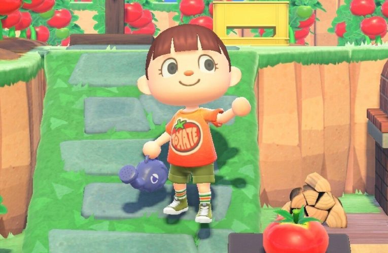 Animal Crossing: New Horizons celebra el lanzamiento de tomates con una camiseta de tomates