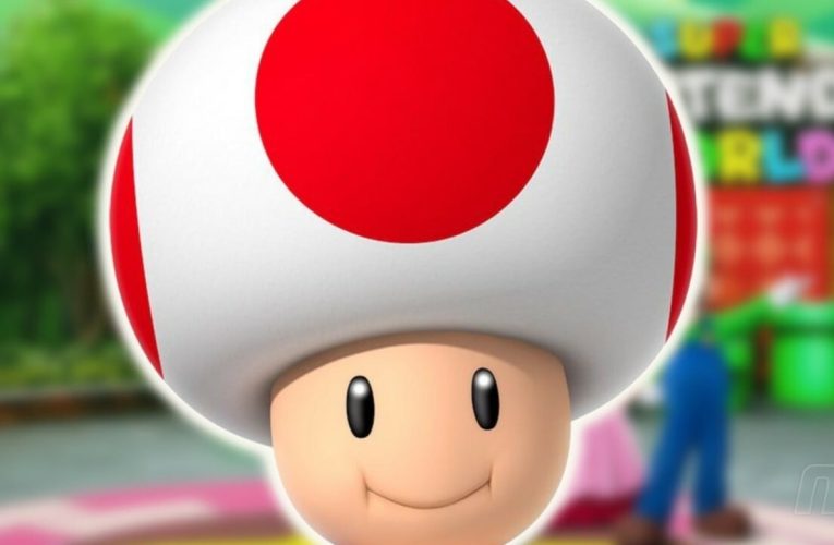 Aléatoire: La voix de Toad est à la fois adorable et irritante sur Super Nintendo World