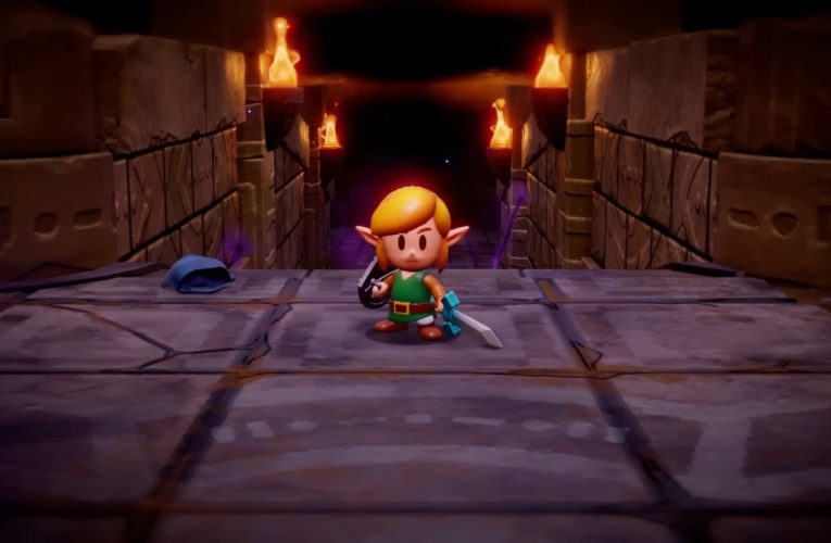 Link Will Be Playable In Zelda: Echoes Of Wisdom, According To New ESRB Rating