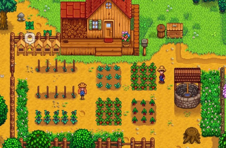 Stardew Valley Creator Shares New Update About Version 1.6 Console Ports