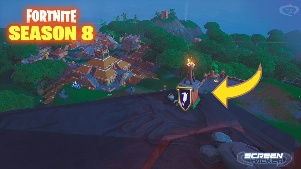 FortniteSeason8week4secretbanner1