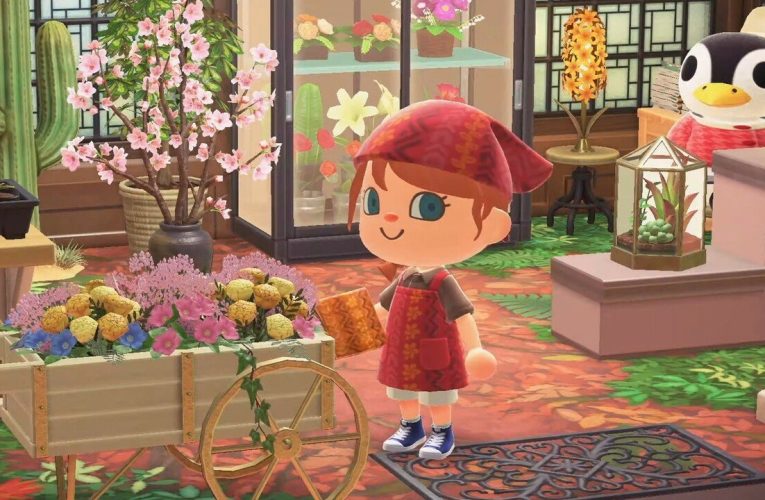 Animal Crossing: Nuovi orizzonti: Tutto in arrivo nell'ultimo aggiornamento gratuito