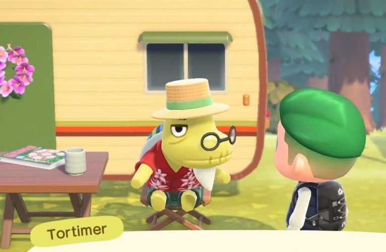 A caso: Rilassare, L'ex sindaco di Animal Crossing Tortimer è vivo e vegeto