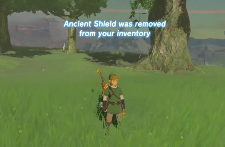 Este Zelda: Breath of the Wild Randomiser mueve todo y roba tus artículos