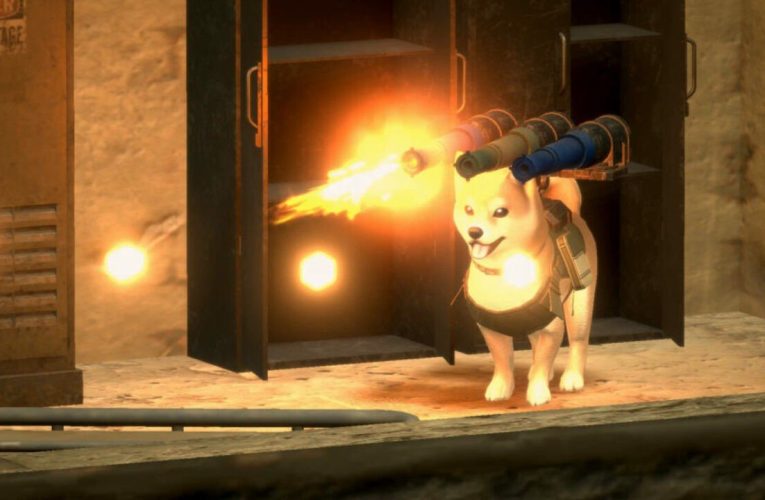 Spiele als Hund mit einem Maschinengewehr in „Metal Dogs“, Kommen zum Wechsel in Japan