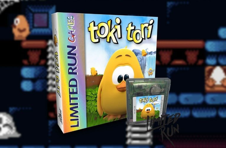 Toki Tori For Game Boy Color Is Being Re-Released, 20 Years Later