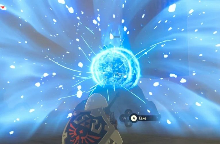 Willkürlich: Zelda: Breath of the Wild hat einen tollen Magnesis-Trick für Bambuswächter