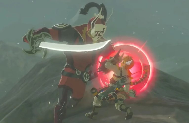 Zelda: Breath Of The Wild' Second Wind’ Vidéos de mod ciblées par Nintendo