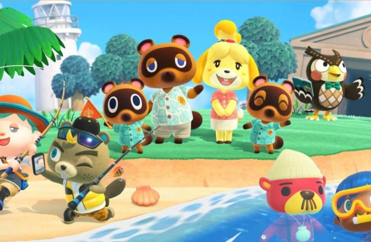 Animal Crossing: New Horizons Update 2.0.5 Patch Notes – Fixes For The Main Game And Happy Home Paradise