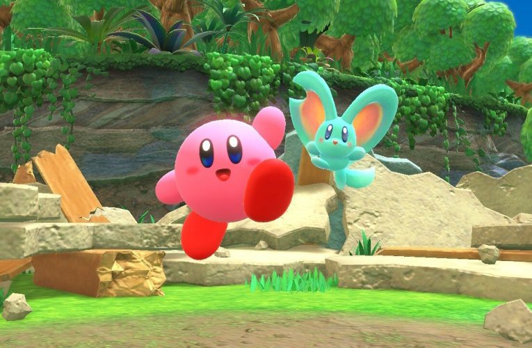 Kirby e la terra dimenticata rivendicano il terzo risultato di marzo NPD