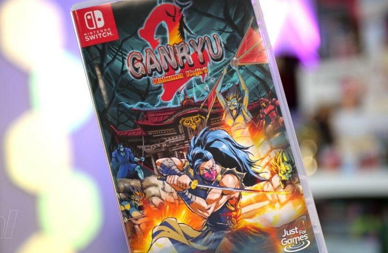 Ganyru 2 Patch Improves Frame Rate Issues On Switch