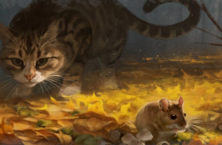 Futter, Fight, Und heirate andere Katzen in „Cattails“.: Wildwood-Geschichte’, Sich auf den Schalter stürzen 2024