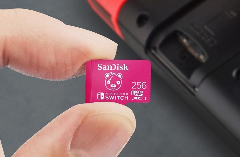 Die offiziell lizenzierte Micro-SD-Kartenkollektion von Switch wird um neue Fortnite-Designs erweitert