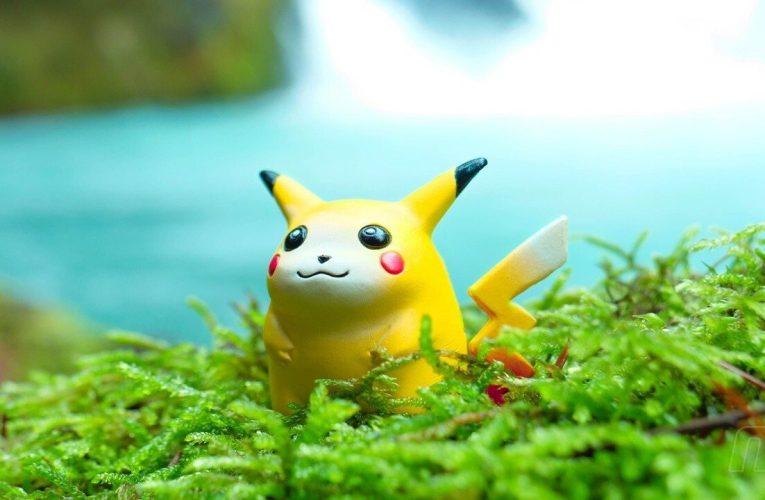 La plus grande collection de Pokémon au monde devrait se vendre jusqu'à 300 000 £ aux enchères plus tard ce mois-ci