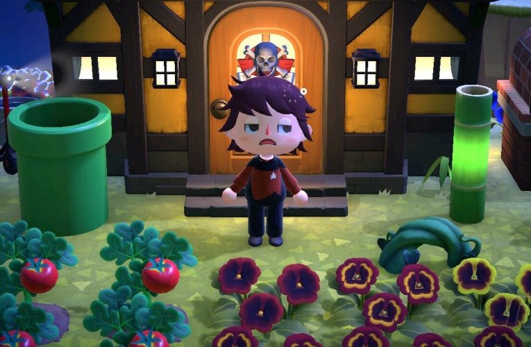 Umfrage: Ein Jahr nach dem DLC, Spielst du immer noch Animal Crossing?: Neue Horizonte?