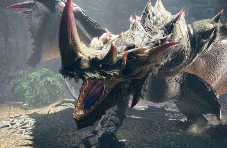 Capcom révèle des notes de mise à jour charnues pour Monster Hunter Rise: La prochaine mise à jour de Sunbreak