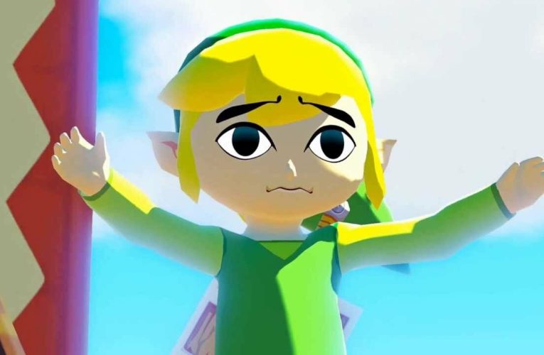 Umfrage: ist Zelda: Wind Wakers Held namens „Cat-Eye Link“?