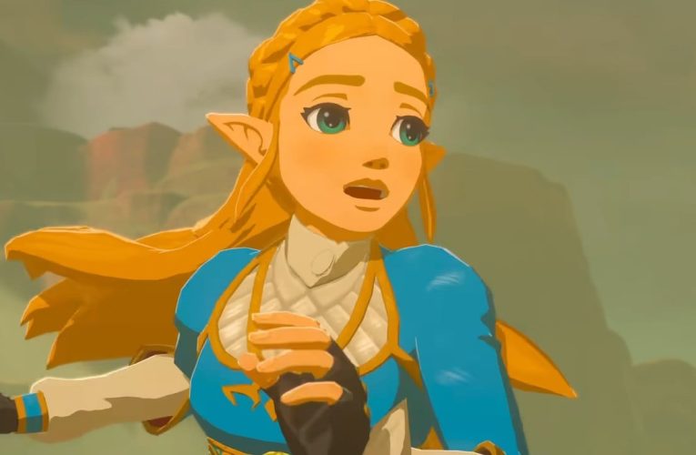 A caso: Zelda BOTW Speedrunner batte il gioco 50 Tempi in meno di 24 Ore