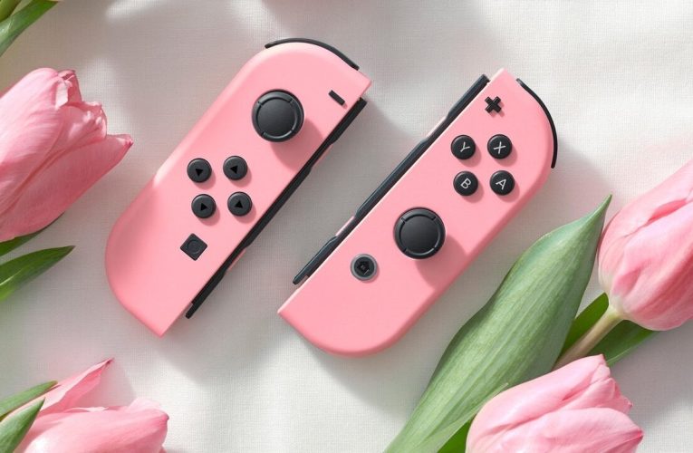 Rappel: Nintendo's New Pastel Pink Switch Joy-Con Set Is Out Now