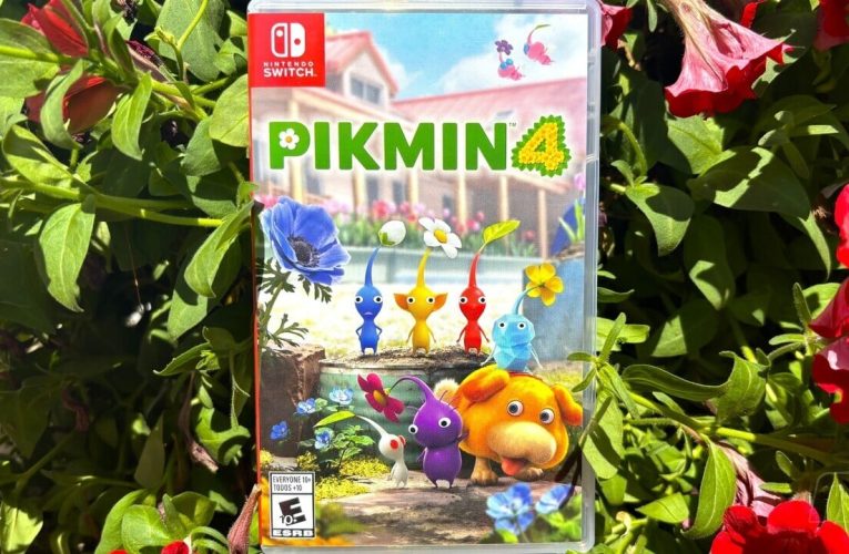 Nouvelles racines – Comment Pikmin 4 J'ai fait fleurir mon déménagement à l'étranger