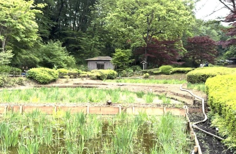 A Trip To Machida, The Real-Life ‘Pallet Town’ That Inspired Pokémon